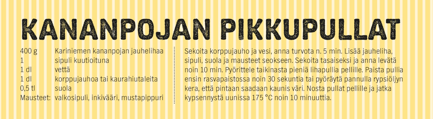 Kariniemen kanapartio pikkupullat resepti