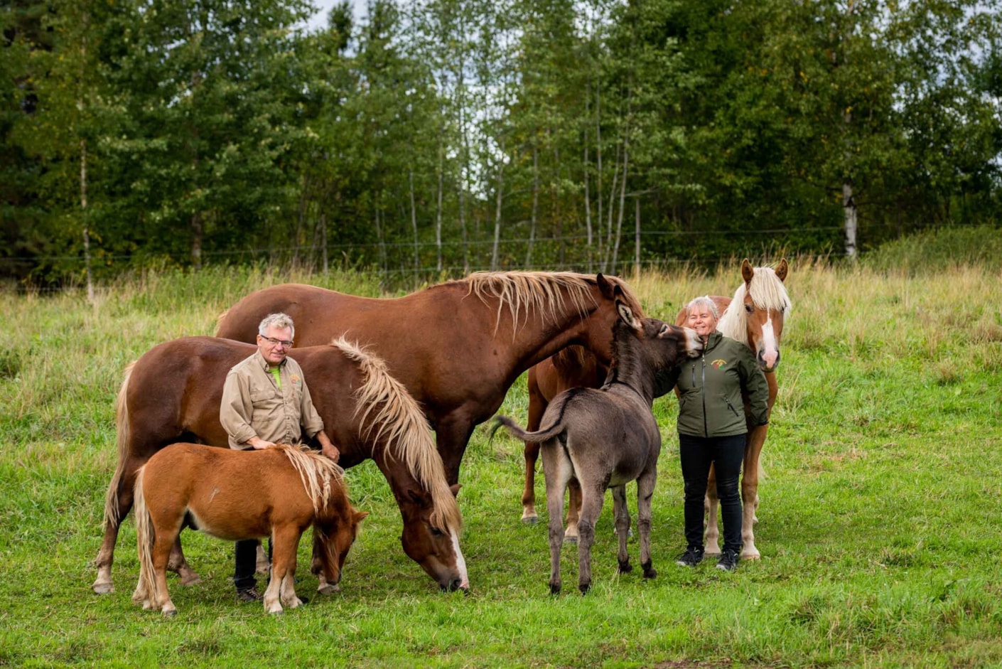 Kariniemen kotitila Kylämäen tila tilanpitäjäperhe hevoset