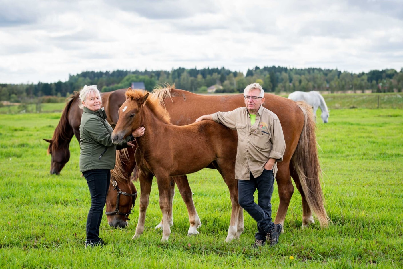 Kariniemen kotitila Kylämäen tila tilanpitäjät hevosten kanssa