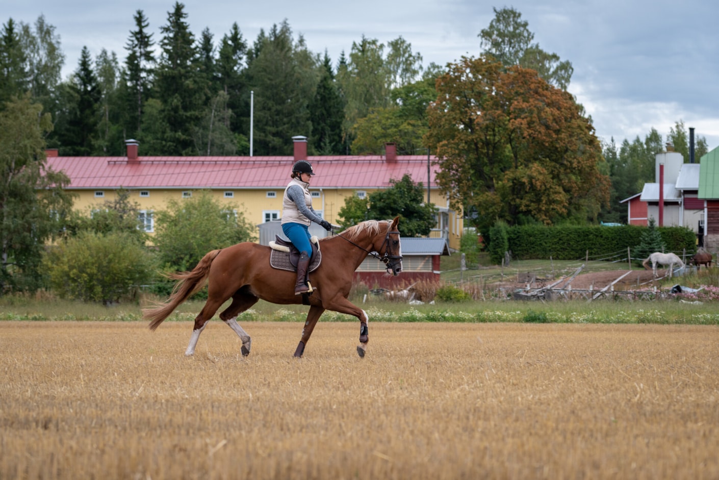 Kariniemen kotitila Mäkiperen tila nainen ratsastaa hevosella
