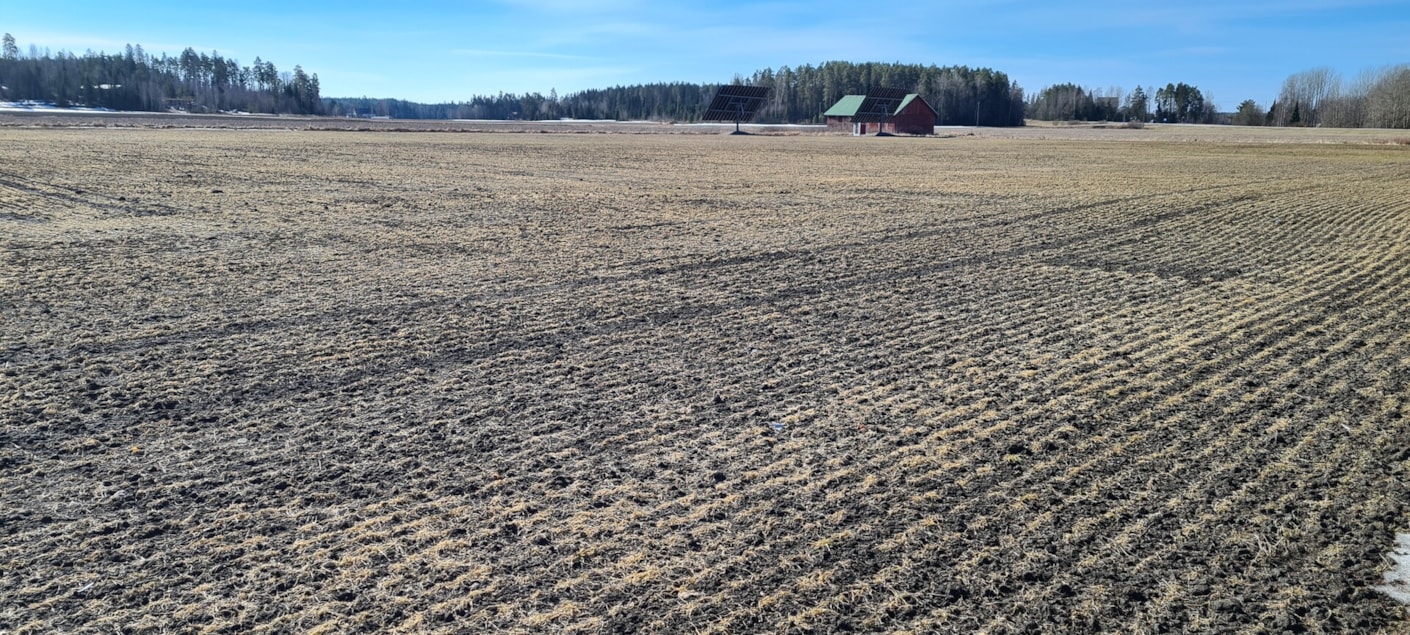 Kariniemen Kiiskin tila toukokuinen pelto