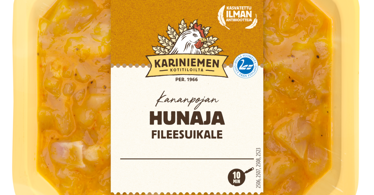 www.kariniemen.fi