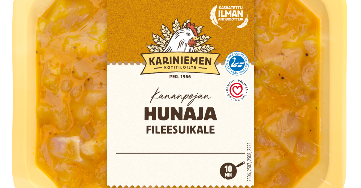 www.kariniemen.fi